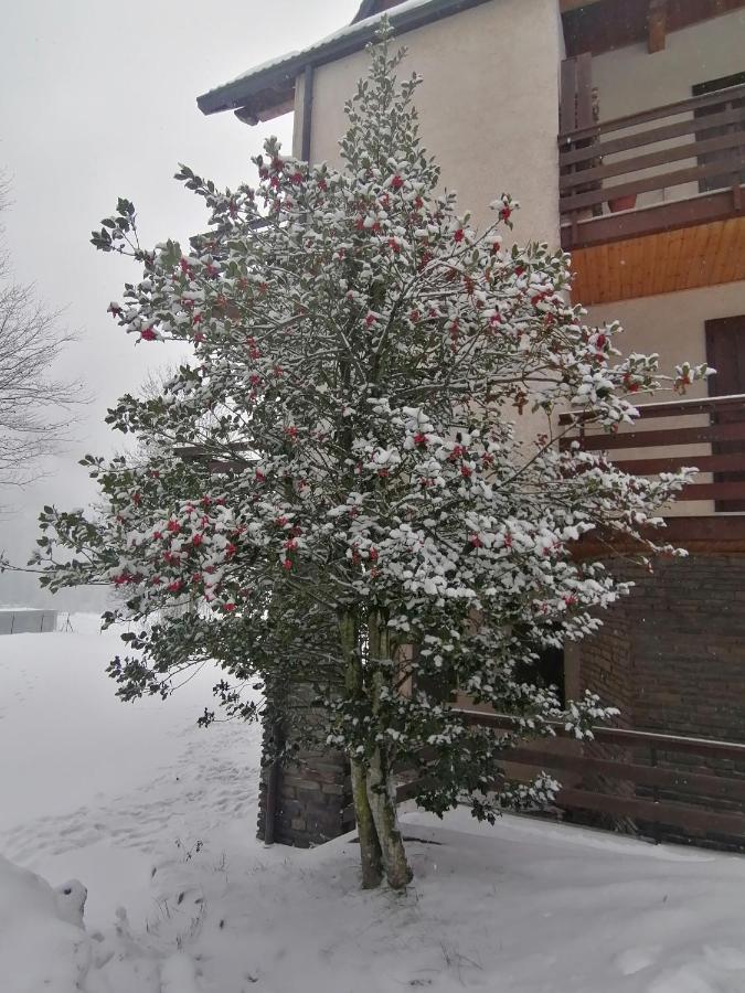 Apartamento Grande Casa Di Famiglia Temù Exterior foto